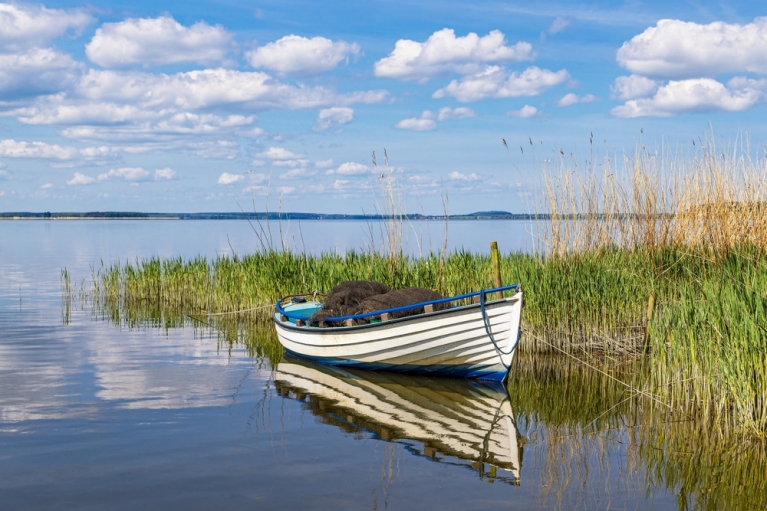 Una piccola barca si trova accanto a delle canne verdi in una baia tranquilla in una giornata di sole.